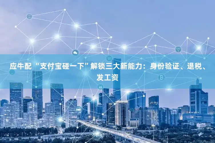应牛配 “支付宝碰一下”解锁三大新能力：身份验证、退税、发工资