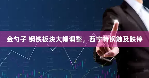 金勺子 钢铁板块大幅调整，西宁特钢触及跌停