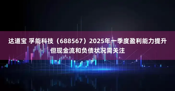 达道宝 孚能科技（688567）2025年一季度盈利能力提升但现金流和负债状况需关注
